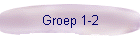 Groep 1-2