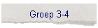 Groep 3-4