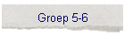 Groep 5-6