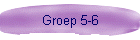 Groep 5-6