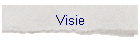 Visie